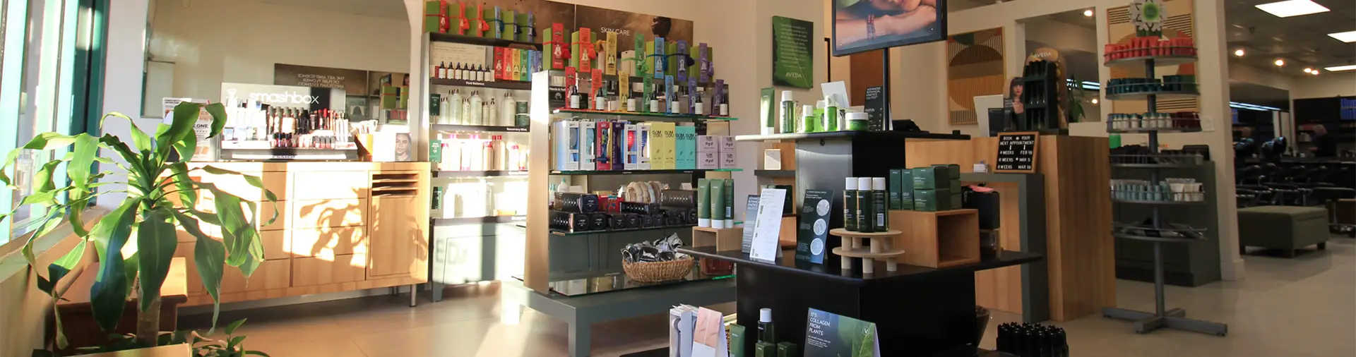 A well-lit salon retail area displays various hair and skincare products on shelves and stands, with a plant near a sunlit window.